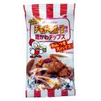 チキチキボーン 鶏かわチップス やみつきスパイス 家呑みにぴったり 常温おつまみ 日本ハム 27g ｘ１個