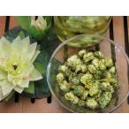 【胎菊茶　100g】（メール便送付可能になりました）