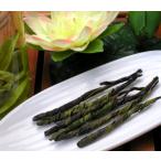 苦丁茶（一葉茶）　50g