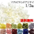 プリザーブドフラワー ハーバリウム 花材 約5〜6g 小分け あじさい ソフトピラミッドアジサイ ホワイト 白 カラフル フラワー ギフト 花 小分け花材