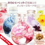 ハーバリウム 2本セット ギフト ペット ギフト 誕生日 プレゼント 犬 猫 お供え 写真付き プリザーブドフラワー お祝い 贈り物 メモリアル 記念