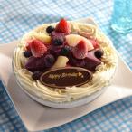 夏限定 ・ バースデー ブルーベリー アイス ケーキ ５号