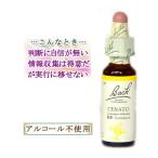 bachi цветок remeti05 Sera to- non aruko-p модель 10ml цветок essence 
