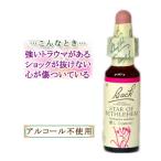 ショッピングオブ バッチフラワーレメディ 29スターオブベツレヘム ノンアルコープタイプ 10ml フラワーエッセンス