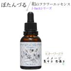 ..... essence мир. цветок essence J-Bach цветок essence серии автомобиль ndu правило .. товары 20ml 1 шт 