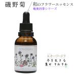 ... essence мир. цветок essence Amami 4 сезон цветок essence серии автомобиль ndu правило .. товары 20ml 1 шт 