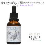 su. число . essence мир. цветок essence J-Bach цветок essence серии автомобиль ndu правило .. товары 20ml 1 шт 
