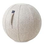 MIVIOS バランスボール シェリア 直径55cm カバー付き 椅子 スツール 軽量 空気入れ付き ストレッチ フィットネス ヨガ ヨガボール