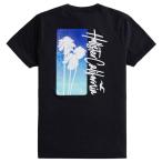 【並行輸入品】【メール便送料無料】ホリスター メンズ Ｔシャツ ( 太陽光で変色 / 半袖 ) Hollister UV Reactive Graphic Tee (ブラック)