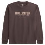 ショッピングホリスター 【並行輸入品】【メール便送料無料】ホリスター メンズ ロングＴシャツ ( ロンT ) Hollister Relaxed Long-Sleeve Logo Graphic Tee (ダークブラウン)