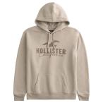 ショッピングホリスター 【並行輸入品】ホリスター メンズ パーカー ( プルオーバー ) Hollister Logo Graphic Hoodie (ライトブラウン) 【アップリケ パーカ フリース 】