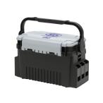 タミヤ ミニ四駆特別企画商品 ミニ四駆 キャリーピット 95221