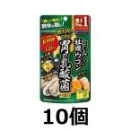しじみの入った牡蠣ウコン胃の乳酸菌PLUS 30日分 90粒×10個 しじみの入った牡蠣ウコン しじみ 牡蠣エキス ウコン オルニチン 乳酸菌 井藤漢方製薬株式会社