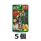 しじみの入った牡蠣ウコン胃の乳酸菌PLUS 30日分 90粒×5個 しじみの入った牡蠣ウコン しじみ 牡蠣エキス ウコン オルニチン 乳酸菌 井藤漢方製薬株式会社