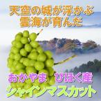 ショッピングシャインマスカット シャインマスカット 晴王 800g前後 1房箱 2 箱 ギフト化粧箱 送料無料 日本農業賞大賞受賞の産地岡山びほく産