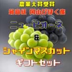 виноград автомобиль in мускат ..pio-ne комплект подарок для несессер Япония сельское хозяйство . большой . выигрыш. производство земля Okayama ... производство 