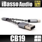 【3月8日発売】iBasso Audio アイバッソ CB19 セパレートパワーOTGケーブル TypeC TypeA USB-OTG 給電【国内正規品】ネコポス投函