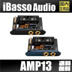 iBasso Audio AMP13 DX300/DX320専用 真空管 Nutube アンプカード KORG 3.5mm