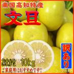 土佐文旦（トサブンタン） 訳あり＜特価＞（高知産・おまかせサイズ）１０ｋｇ入（ご家庭用に最適です）