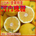 2026 подарок подарок подарок Kawauchi ..(.......* Ehime производство * love юг *3L размер )8kg входить (... для *. для бытового использования . рекомендация. )