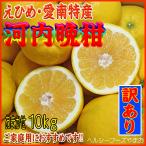  Kawauchi .. есть перевод * специальная цена (.......* Ehime * случайный размер )10kg входить (. для бытового использования . рекомендация. )