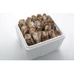  прямая поставка от производителя Hiroshima производство . имеется ..4kg(24~32 шт ) прохладный рейс нагревание для . остров близко море .... крупный .. включая доставку устрица ..( АО )a ошибка i