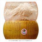 チーズ パルミジャーノ レッジャーノ 24ヶ月熟成 1kg ザネッティ社製 チーズ