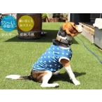 ひんや〜り接触冷感吸水速乾クールクロス中型犬柴犬ビーグル服ラッキースターT...
