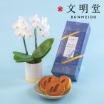 日比谷花壇公式 父の日 文明堂「ありがとうの焼印入り月三笠(5個入り)」とミディ胡蝶蘭のセット