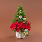ショッピングカーネーション 日比谷花壇公式 クリスマス アレンジメント「サパンドノエル」ツリー型