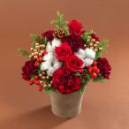 ショッピングカーネーション 日比谷花壇公式 クリスマス アレンジメント「ホーリールージュ」