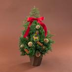 日比谷花壇公式 【お届けは12/1から12/24】クリスマス フレッシュ ツリー「ノエル」