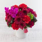 日比谷花壇公式 誕生日 花 アレンジメント「紅華」和風 記念日 お見舞い 出産祝い 結婚記念日 退職祝い 送別 送料無料