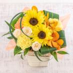 日比谷花壇公式 【お届けは8/31まで】旬の花 ヒマワリ アレンジメント「ラフィット」 記念日 お見舞い 出産祝い 結婚記念日 退職祝い 送別 送料無料