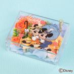 日比谷花壇公式 誕生日 花 ディズニー オルゴール「ハッピーバースデー(ミッキーマウス＆ミニーマウス)」 disney_y お祝い 結婚記念日 送別
