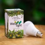日比谷花壇公式 植物育成用LED電球 Well light 3K 昼白色(1球) 記念日 出産祝い 結婚記念日 退職祝い 送別 送料無料