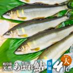 2026 год Gifu натуральный форель ... ... форель большой размер 4 хвост (19cm и больше ) натуральный айю форель . рыбалка наличие рефрижератор Gifu префектура . рисовое поле эксперт .. барбекю река 