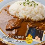 父の日 飛騨牛 カレー 詰め合わせ ギフト 4食 レトルト ビーフカレー ビーフシチュー 各1個 高級 お肉 ゴロゴロ 黒毛和牛 牛肉 国産 ブランド肉