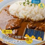 父の日 ギフト 早割 飛騨牛 カレー 詰め合わせ ギフト 6食 レトルト ビーフカレー ビーフシチュー 各3個 選べる2種 高級 お肉 黒毛和牛 牛肉 国産 ブランド肉