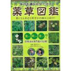 体の不調を自分で治す 薬草図鑑 (マキノ出版ムック)