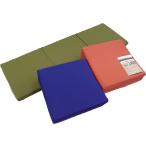 西川 ごろ寝 マットレス 6×60×180cm 三つ折り お昼寝 ソファ アウトドア 車中泊 来客用 HC90009512