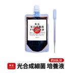 光合成細菌 PSB 培養液 20リットル培養分(100ml) 培養手順書同梱で簡単培養【秀玄】