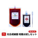 秀玄 光合成細菌 PSB 10リットル培養お試しセット