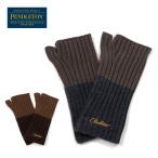 PENDLETON авторучка доллар тонн LOGO WPN KNIT GLOVE Logo WPN вязаный перчатка PDT-000-253006 [ перчатки вязаный палец отсутствует рукавица ][ почтовая доставка * оплата при получении не возможно ]