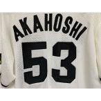  Professional Baseball SSK Hanshin Tigers Tigers форма вышивка #53 красный звезда . широкий размер O [A6]
