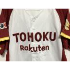  Professional Baseball Descente Tohoku Rakuten Eagle sRAKUTEN EAGLES копия форма вышивка размер M [A7]