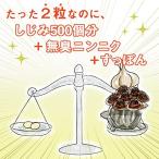 「楽天市場オルニチンサプリランキング第1位」受賞サプリ。おかげさまで累計200万袋。しじみにんにく極