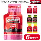 Challenger エナジー ジェル 6個 セット スポーツ ゼリー エネルギー 補給食 行動食 パラチノース マグネシウム カフェイン ゼリー飲料 エネルギー補給ゼリー