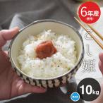 米 お米 10kg 送料無 こし姫 コシヒカリ こしひかり 無洗米 九州産 令和6年産米使用 白米10kg 訳あり米 ブレンド米 オリジナルブレンド米 5kg×2袋