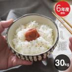 米 お米 30kg 送料無 こし姫 コシヒカリ こしひかり 九州産 令和6年産米使用 30kg 訳あり米 ブレンド米 オリジナルブレンド米